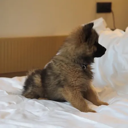 Hostal Jost Centre *