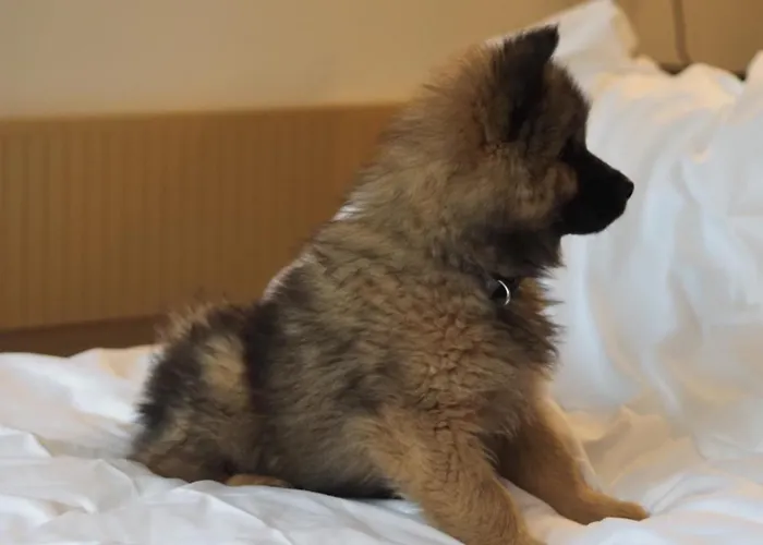 Auberge de jeunesse Jost Centre *